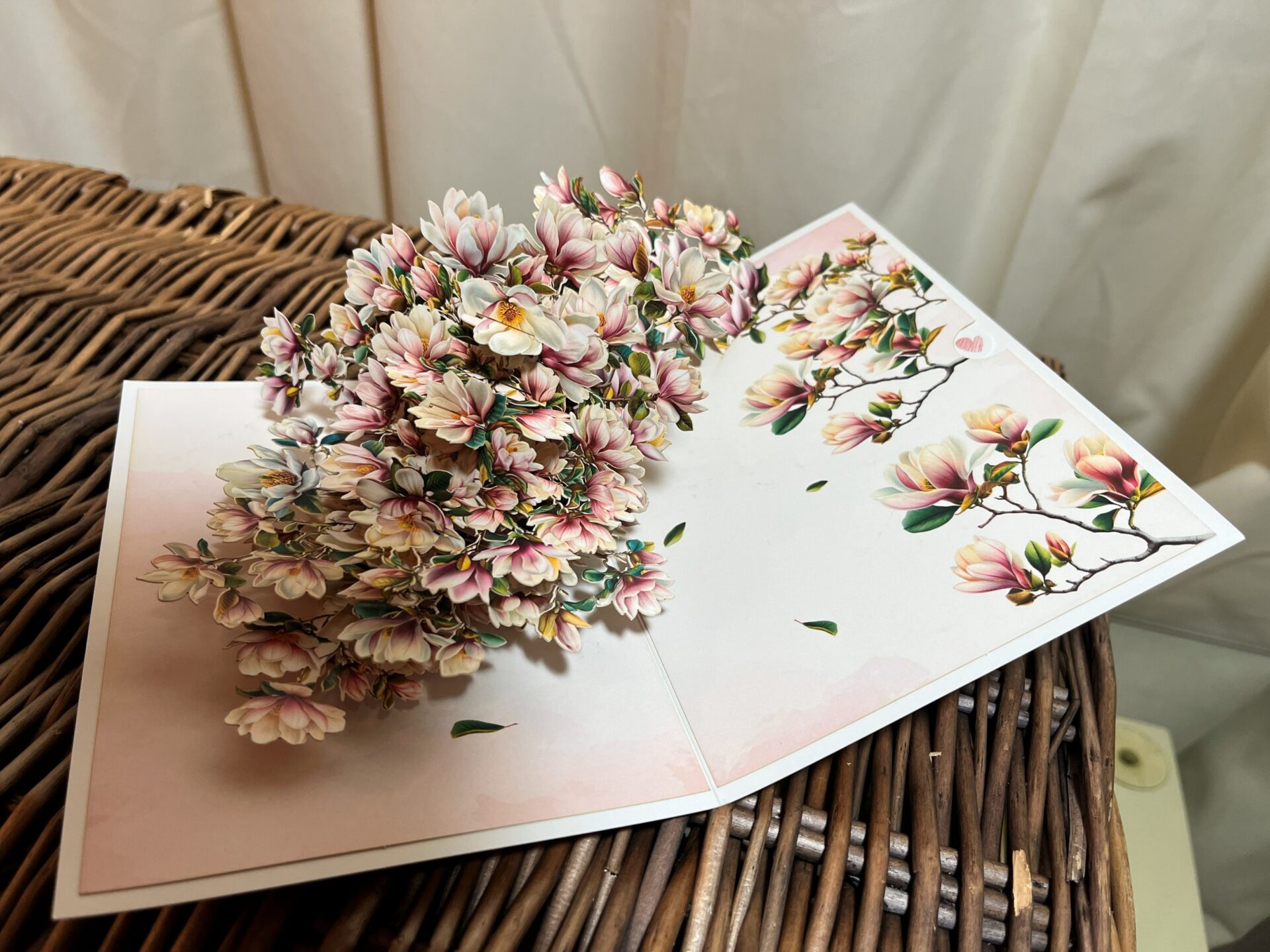 3D POP UP PINK AND WHITE MAGNOLIA CARD 3D POP UP PINK AND WHITE MAGNOLIA CARD.