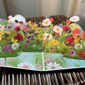 3D-POP-UP-SUMMER-MEADOW-CARD