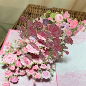 3d pop up pink roses spray card.