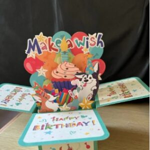 musical-pets-box-card